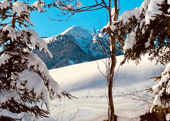 In Near Lift And Sauna Chalet Saalbach-Hinterglemm