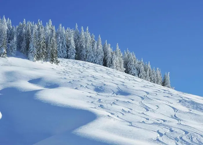 In Near Lift And Sauna * Saalbach-Hinterglemm