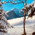 In Near Lift And Sauna Chalet Saalbach-Hinterglemm