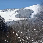In Near Lift And Sauna