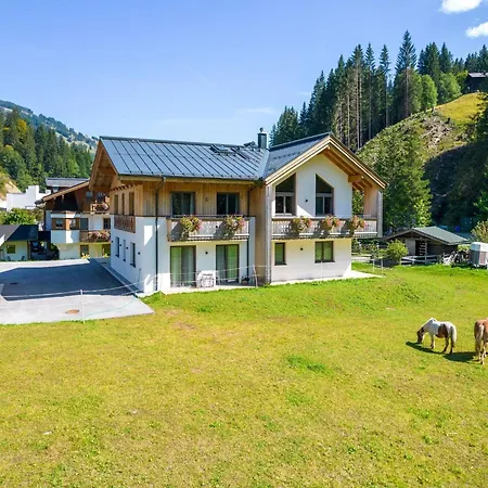 Chalet With Sauna And Jokercard In Summer