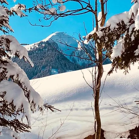 In Near Lift And Sauna Chalet Saalbach-Hinterglemm