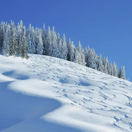With Sauna And Jokercard In Summer * Saalbach-Hinterglemm