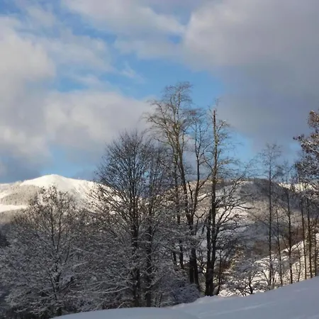 In Near Lift And Sauna Chalet *