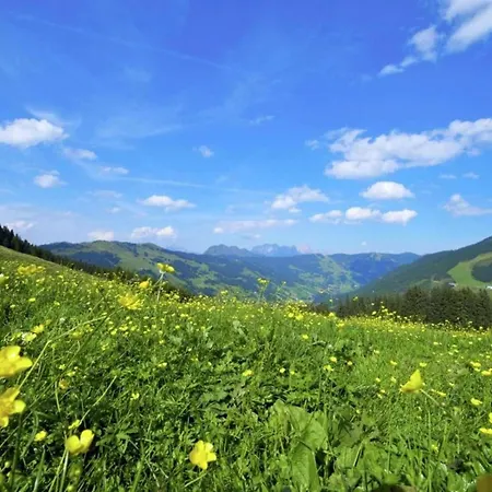 Chalet With Sauna And Jokercard In Summer *