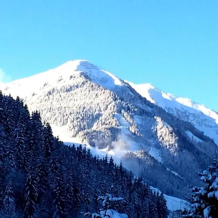 In Near Lift And Sauna *