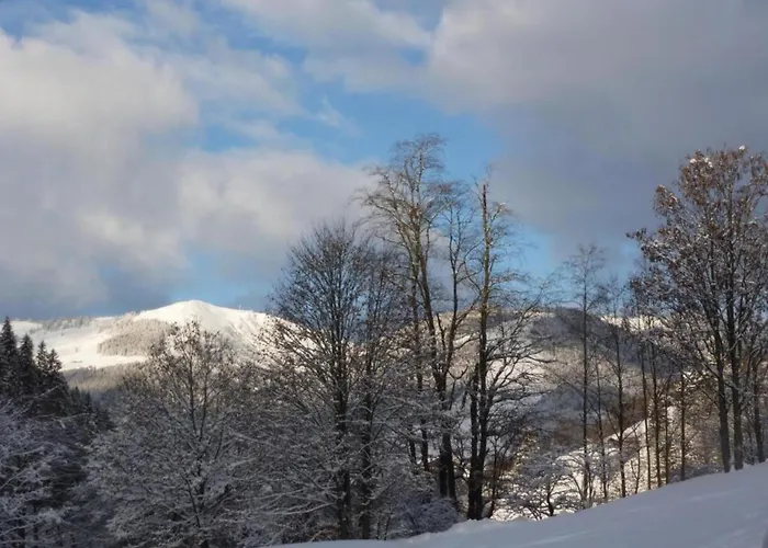 In Near Lift And Sauna Domek alpejski *