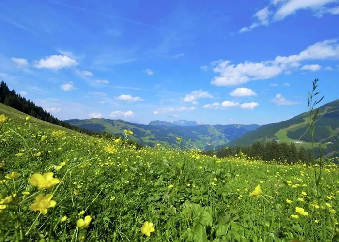 Domek alpejski In Near Lift And Sauna *